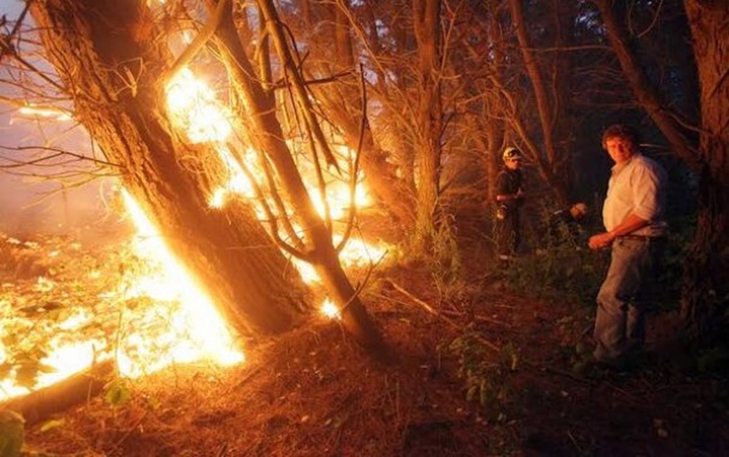 Incendio en Sierra de los Padres