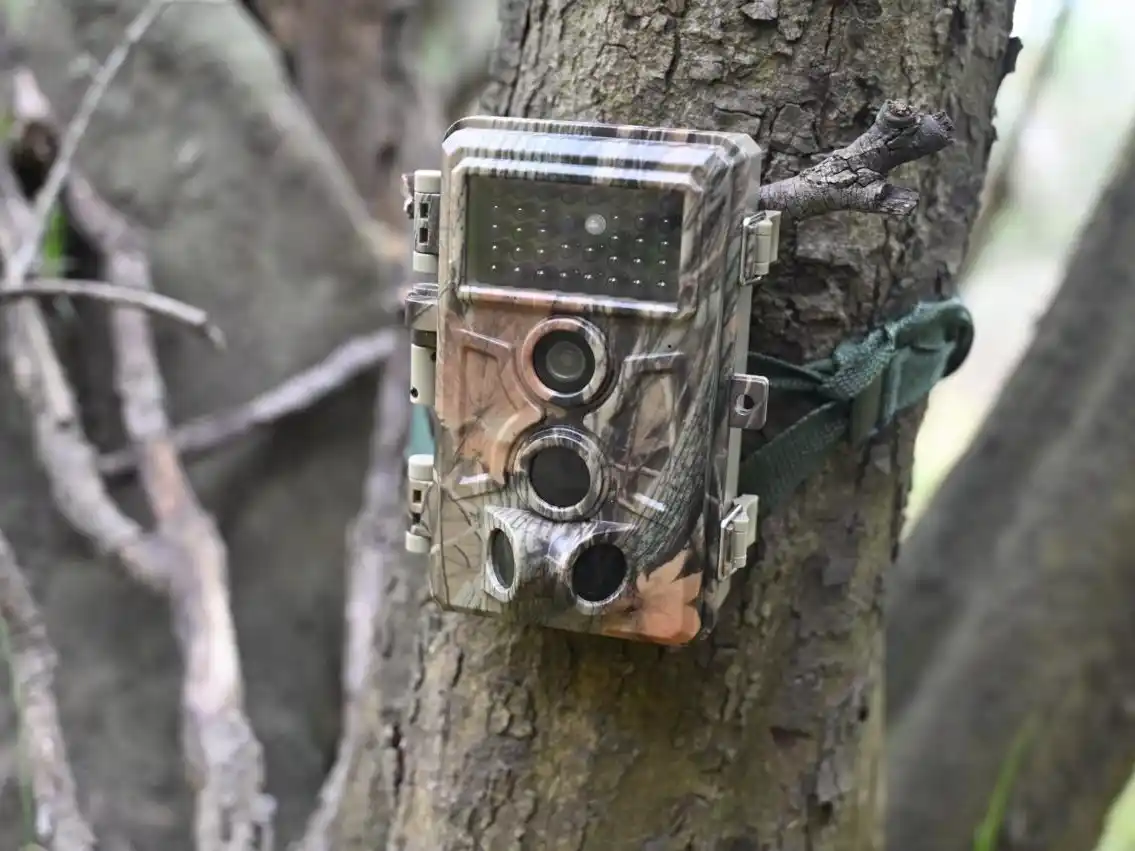 Cámaras Las Piedras - 3