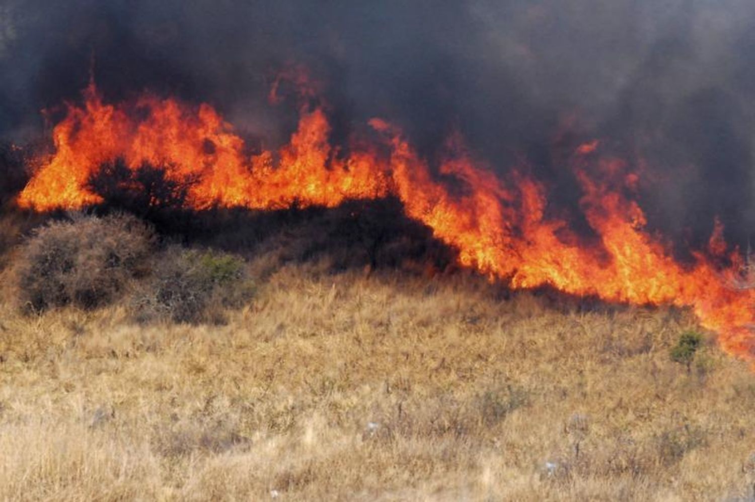  Incendios: Un mes récord en cantidad