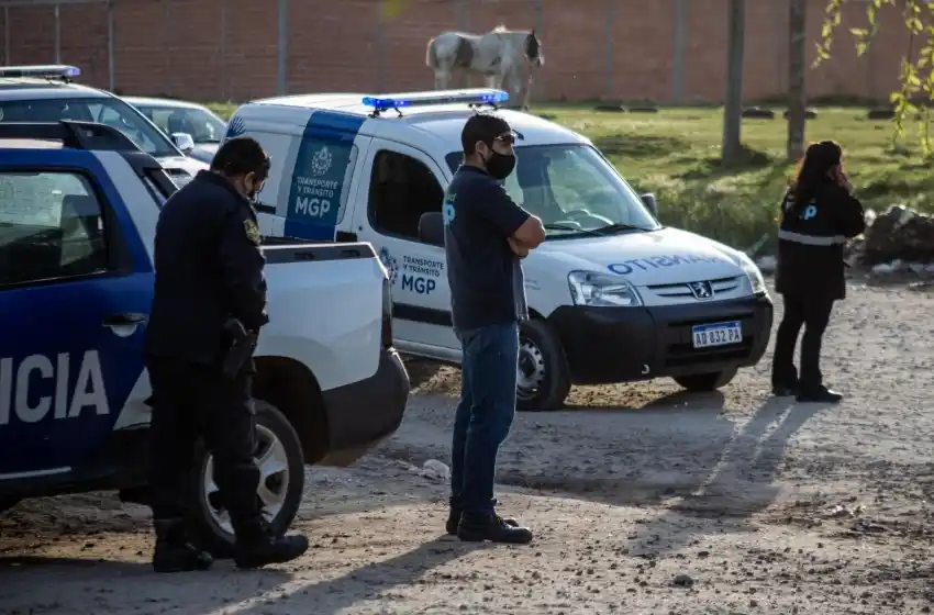 El Municipio intervino en más de 100 casos por caballos sueltos en la vía pública