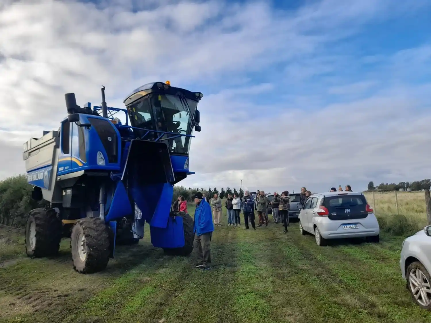 En la finca Estilo Oliva, los participantes de la primera experiencia pudieron observar –y participar- de cada uno de los segmentos de la producción