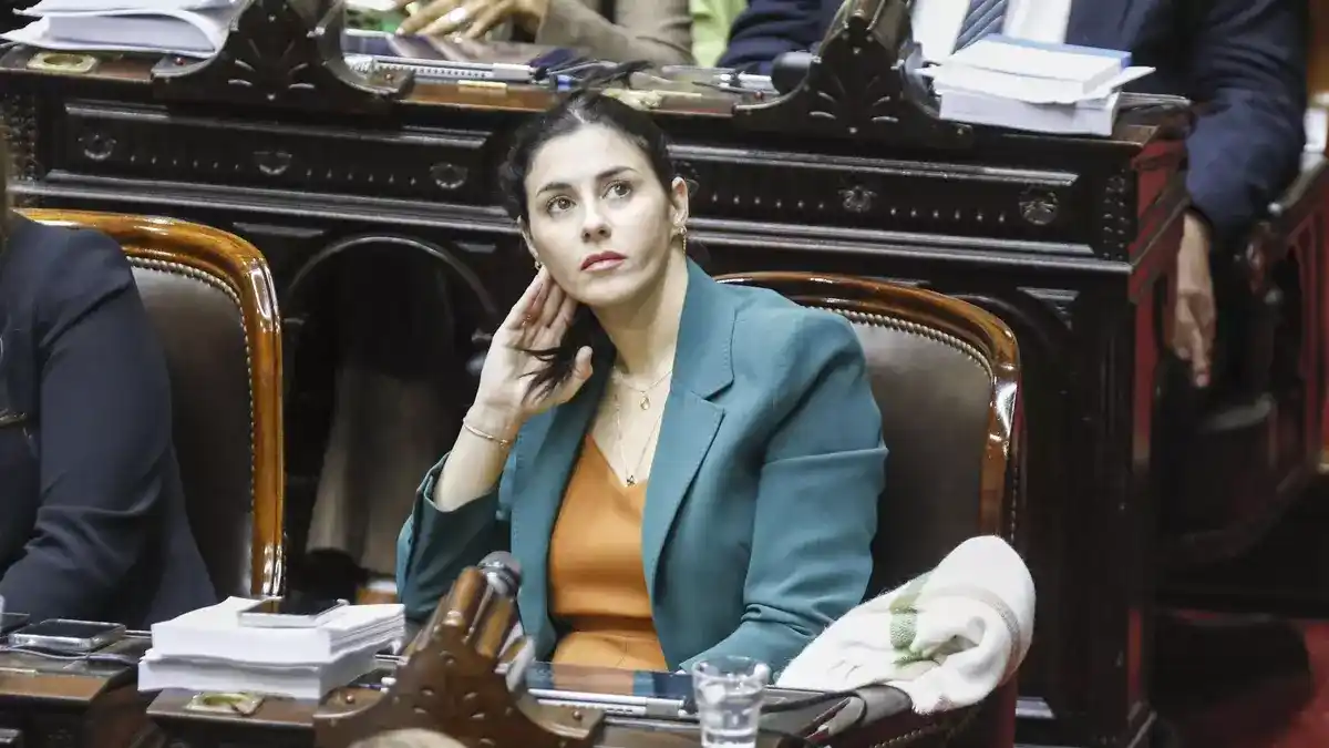 La diputada Marcela Pagano fue quien llevó adelante la denuncia contra Reidel.
