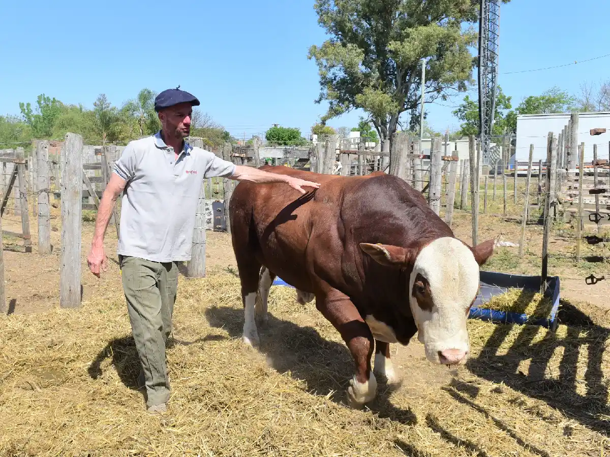 Los Braford se lucen de la mano de “La Distinta”         