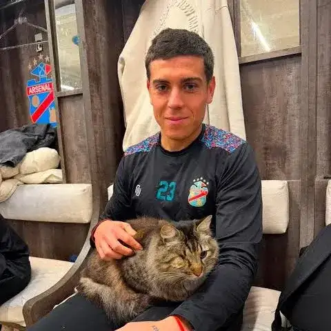 gato