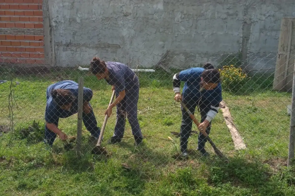 La huerta como alternativa comunitaria y educativa