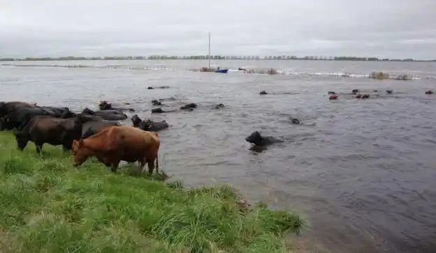 Productores de Islas lamentaron la falta de políticas para solucionar inundaciones 