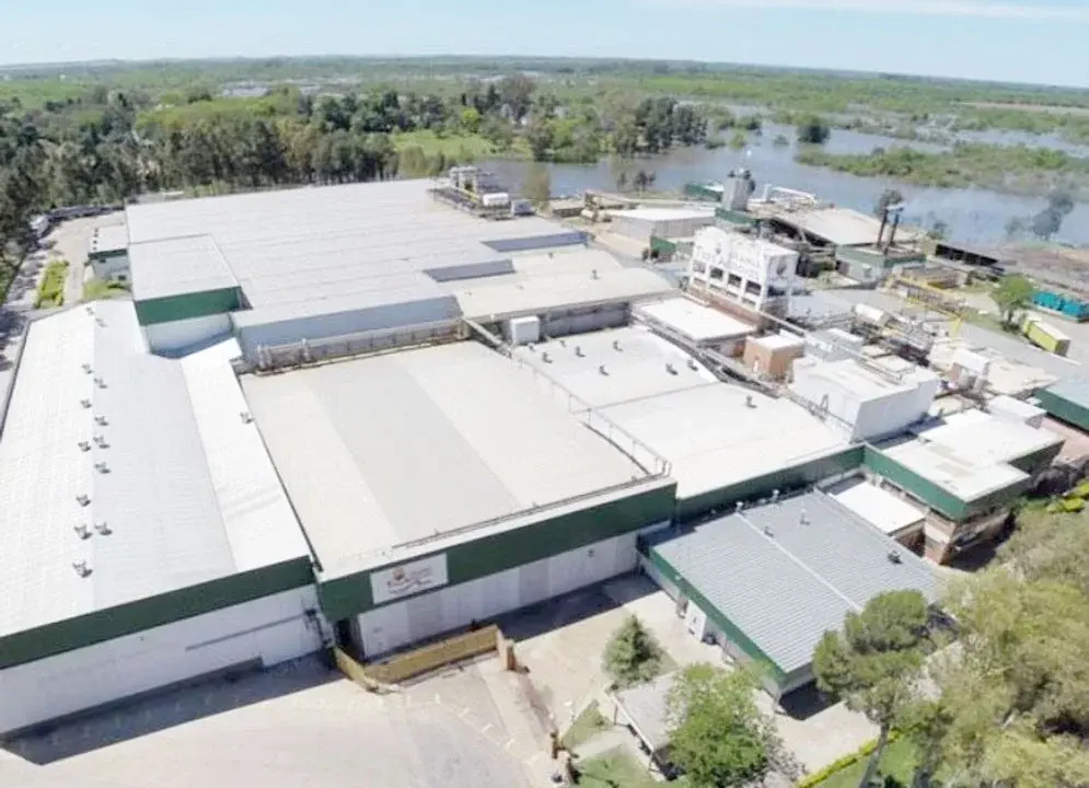 Granja Tres Arroyos despidió a 260 empleados argumentando caída de la actividad por la gripe aviar