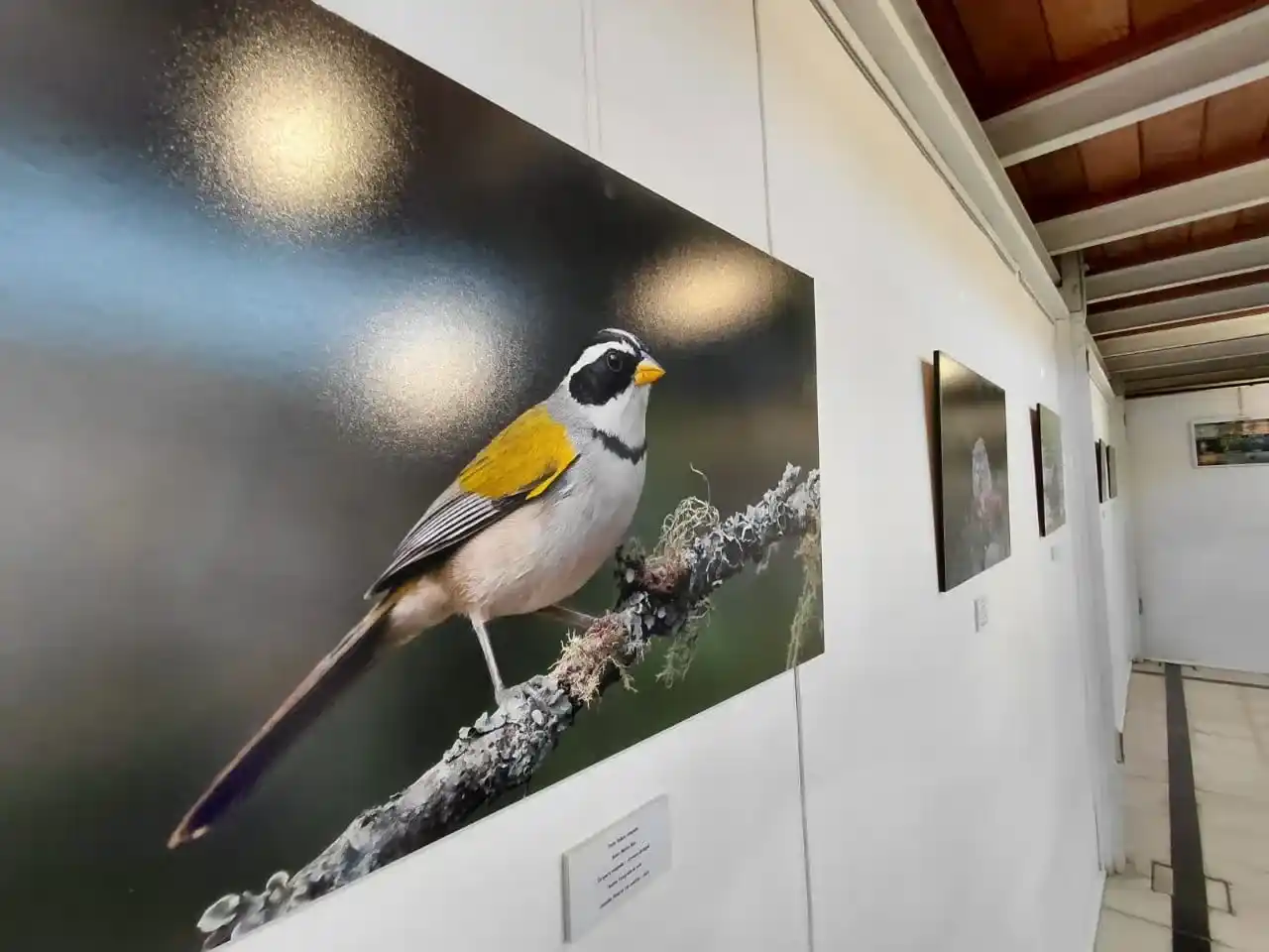 Una de las fotografías de “Latidos de la tierra”, exposición de la Escuela de Fotonaturaleza de Sergio Massaro