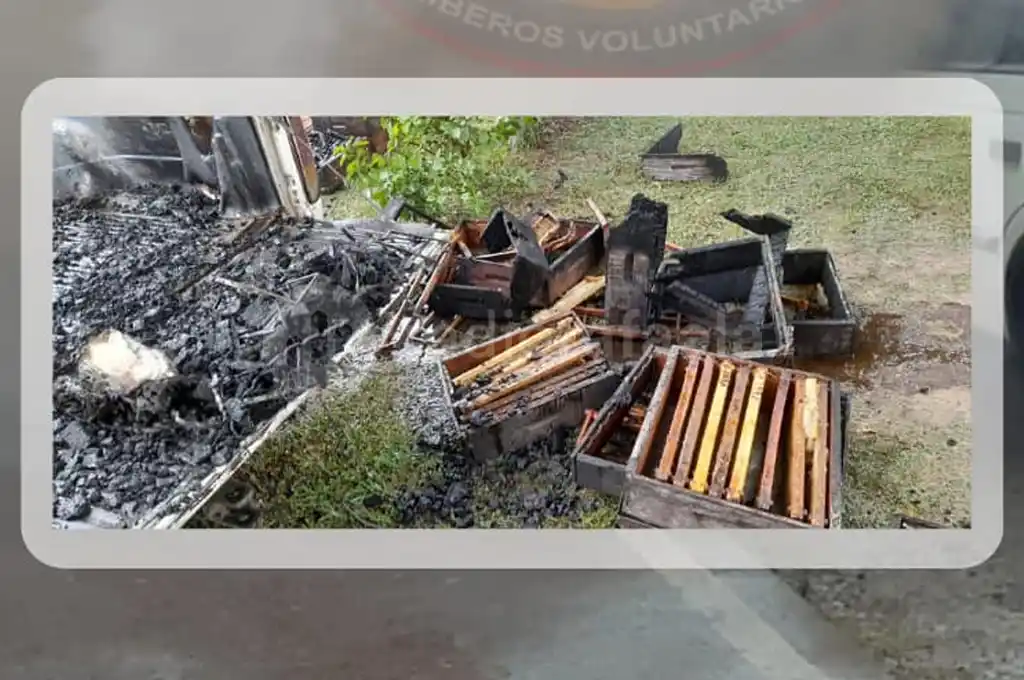 incendió una camioneta cargada con cajones de abejas morteros - 1