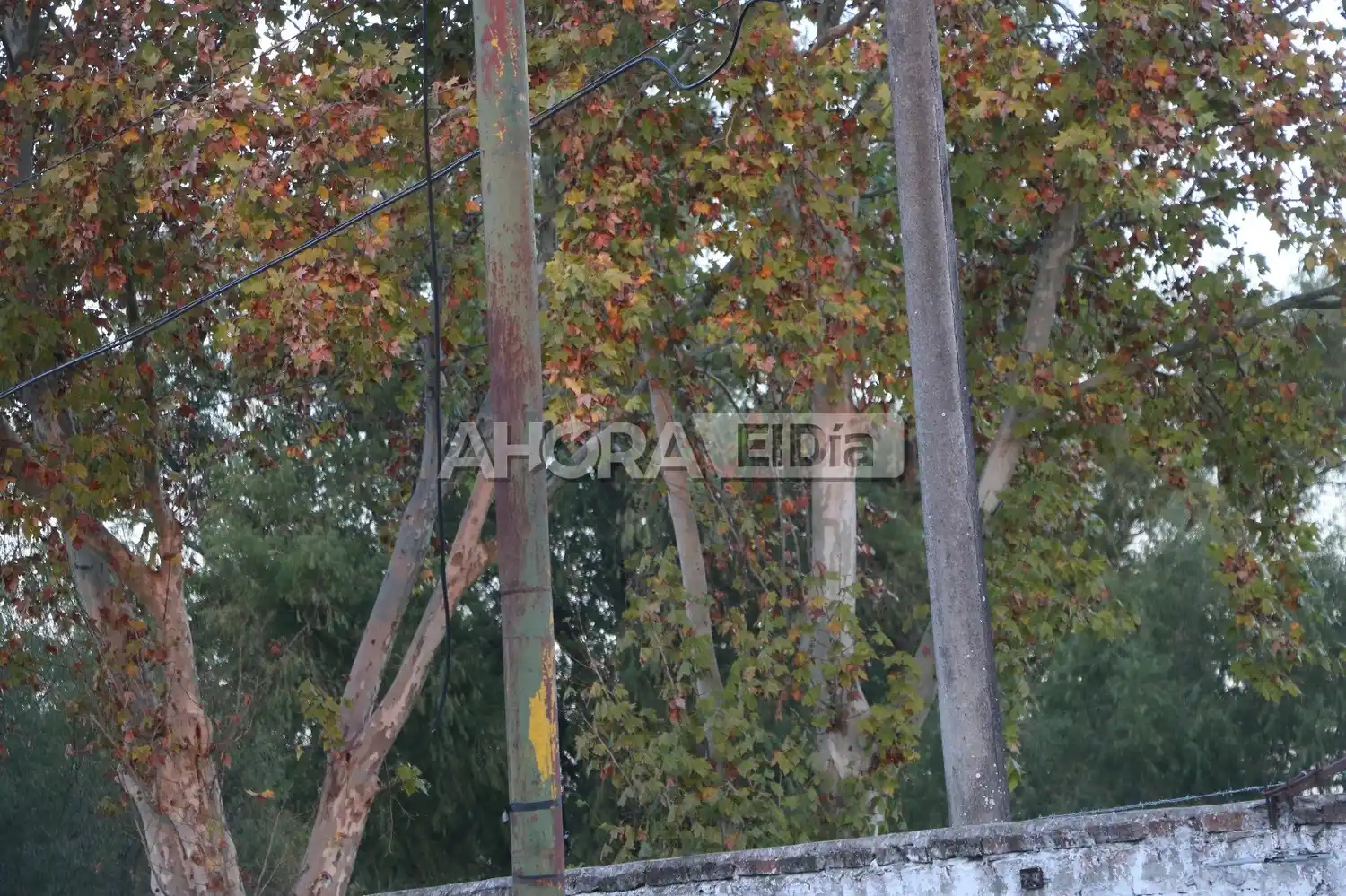Arrancaron el cableado de las torres de iluminación de la cancha de Pueblo Nuevo