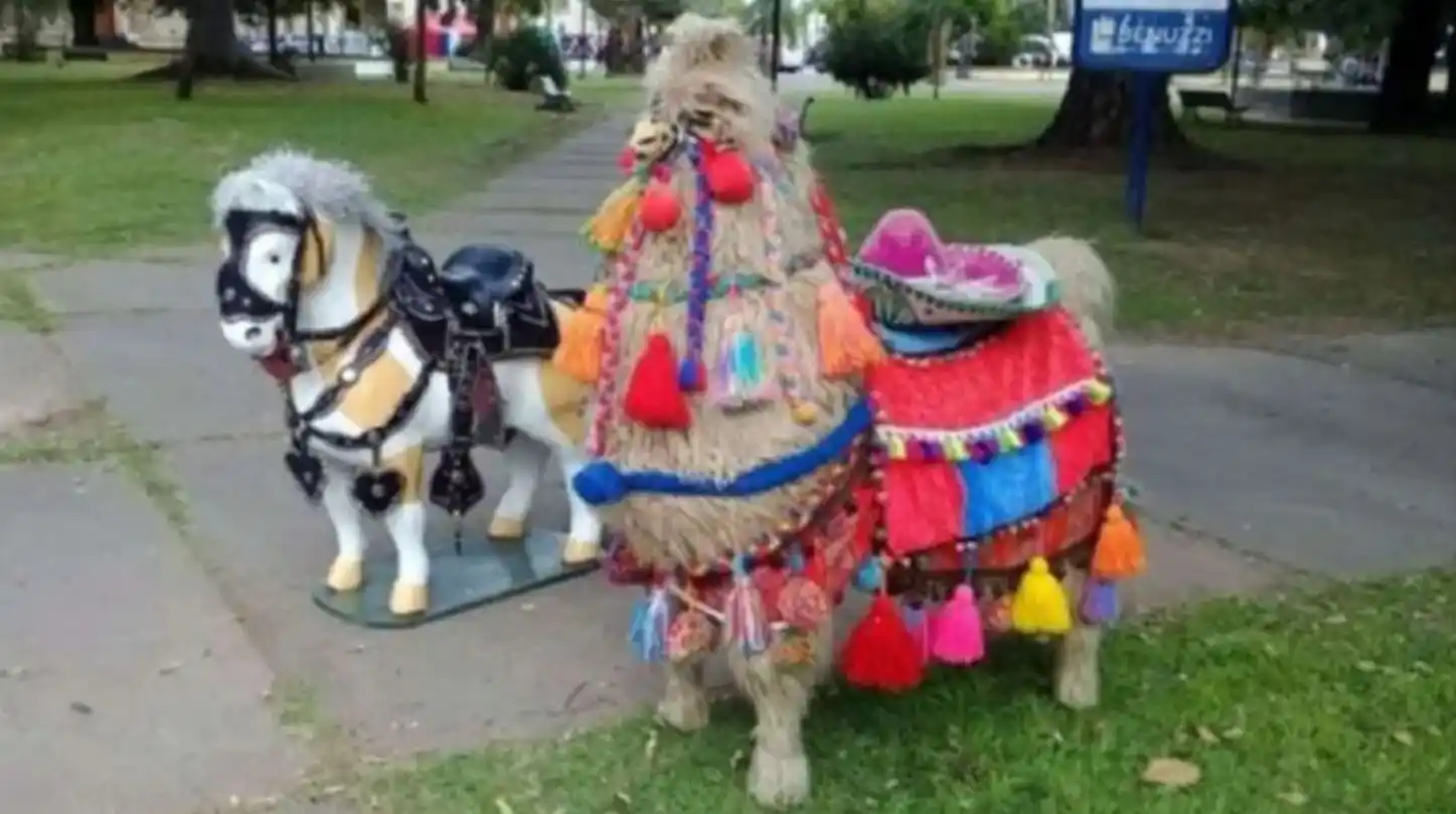 Pensaron que maltrataban a unos animales y los denunciaron, pero se llevaron una increíble sorpresa