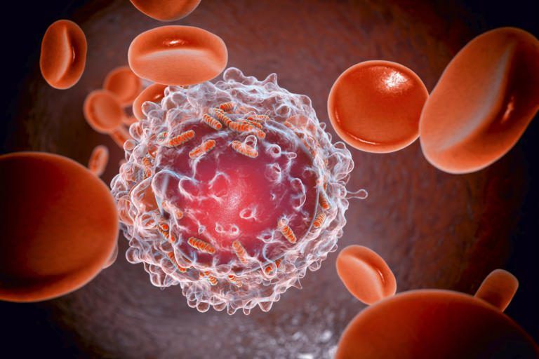 Descubren nueva forma de destruir células cancerosas