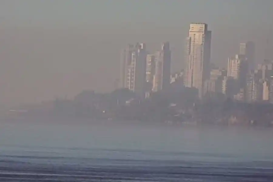 Humo en Rosario: El informe de Leo Ricciardino