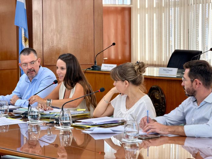 Previo a la sesión extraordinaria, los concejales se reunieron con funcionarios - 2