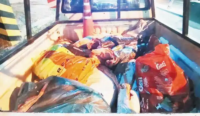 Secuestran 180 kilos de pescado procedente del Chaco