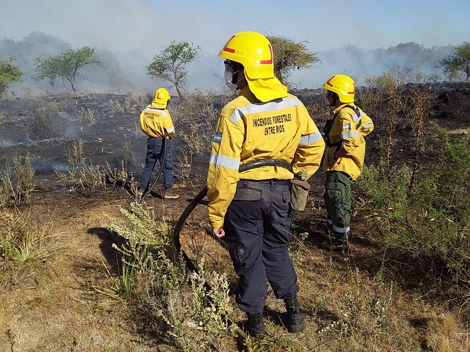 unidad forestal2