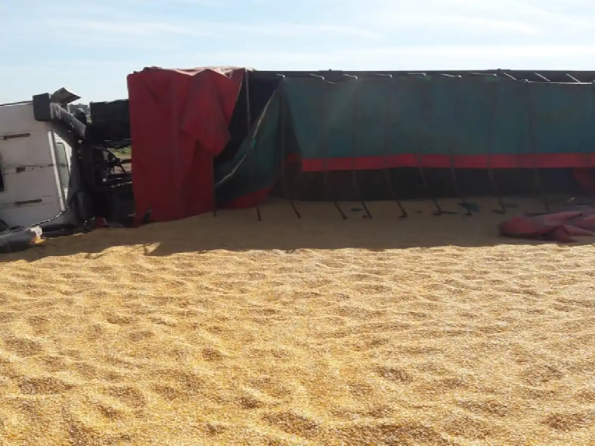 Volcó camión con cereal  y sufrió heridas el chofer