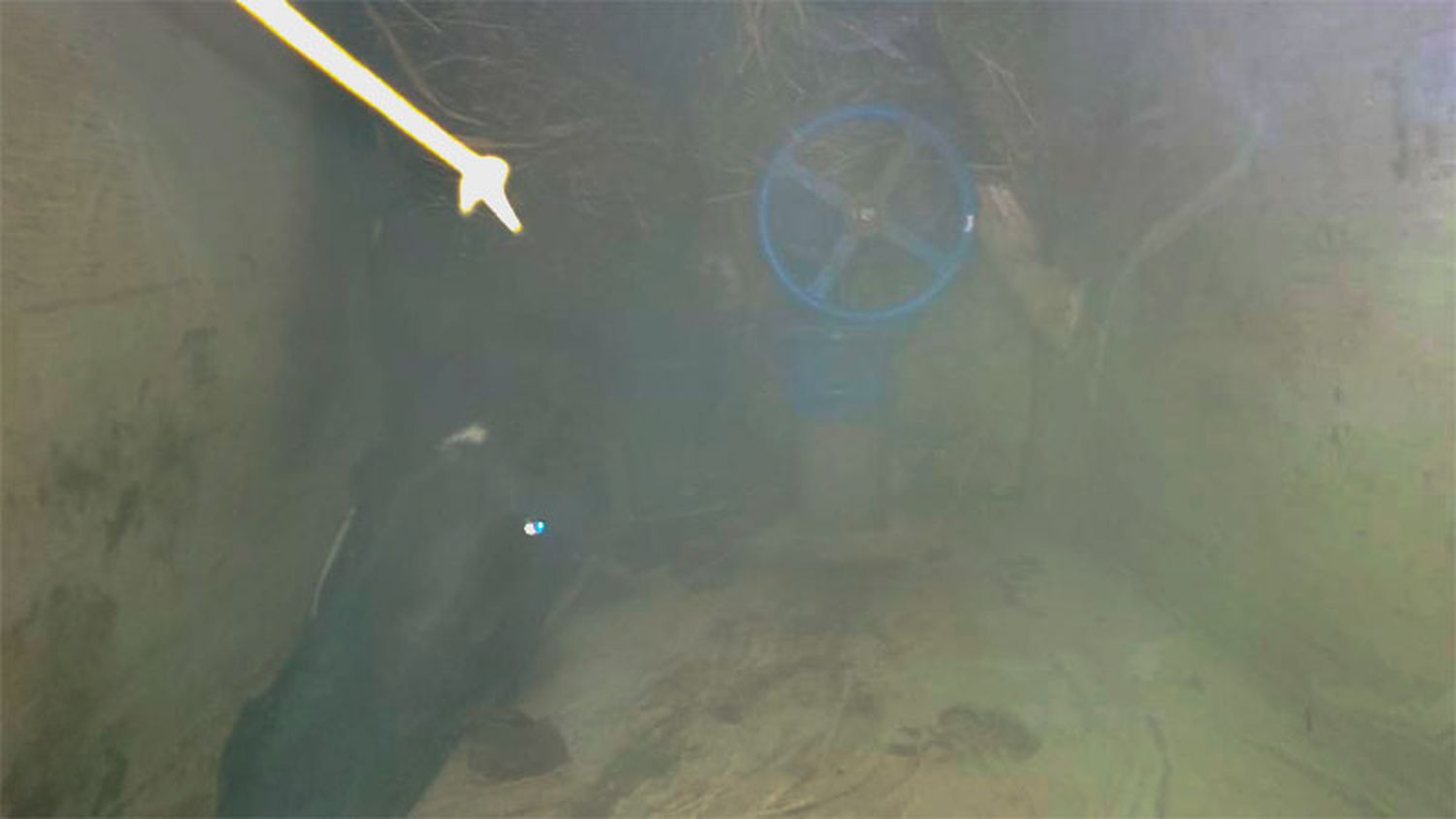 Tras un arduo trabajo, lograron rescatar al caballo que había caído en un pozo en Entre Ríos
