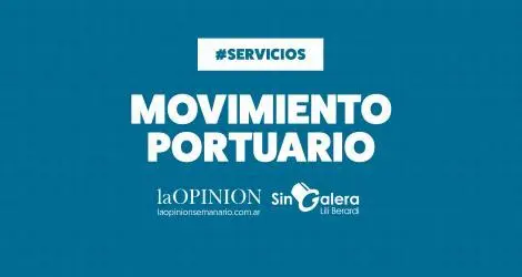 Buque proveniente de Brasil carga soja con destino a Rusia
