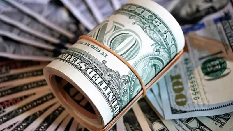 Dólar y cuadernos, las dos caras del gran fracaso nacional