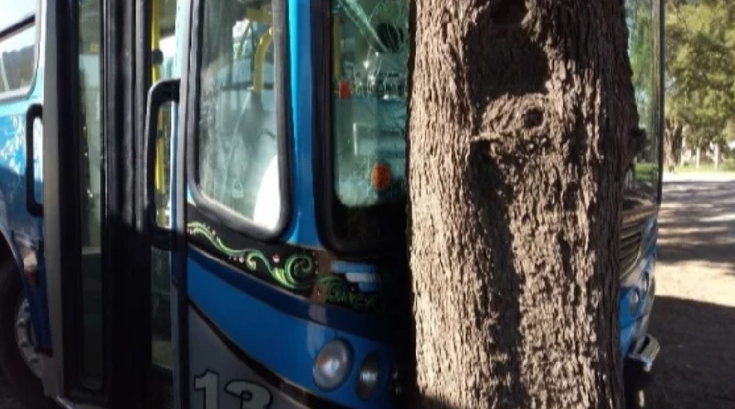 Insólito: Se subieron a dos colectivos y los chocaron contra un árbol en Coronel Rosales