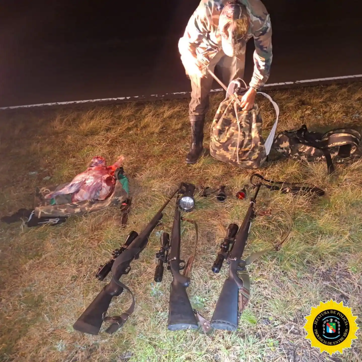 Federación: Operativos y allanamientos dejaron armas secuestradas y animales recuperados