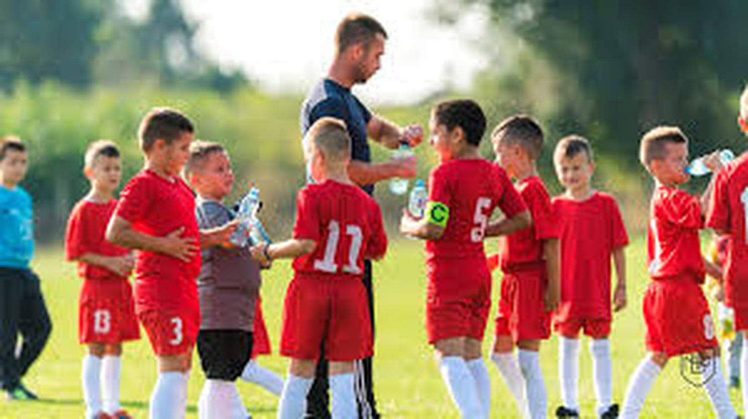 Un entrenador de fútbol o director técnico es la persona encargada de la dirección, instrucción y entrenamiento de jugadores de fútbol.