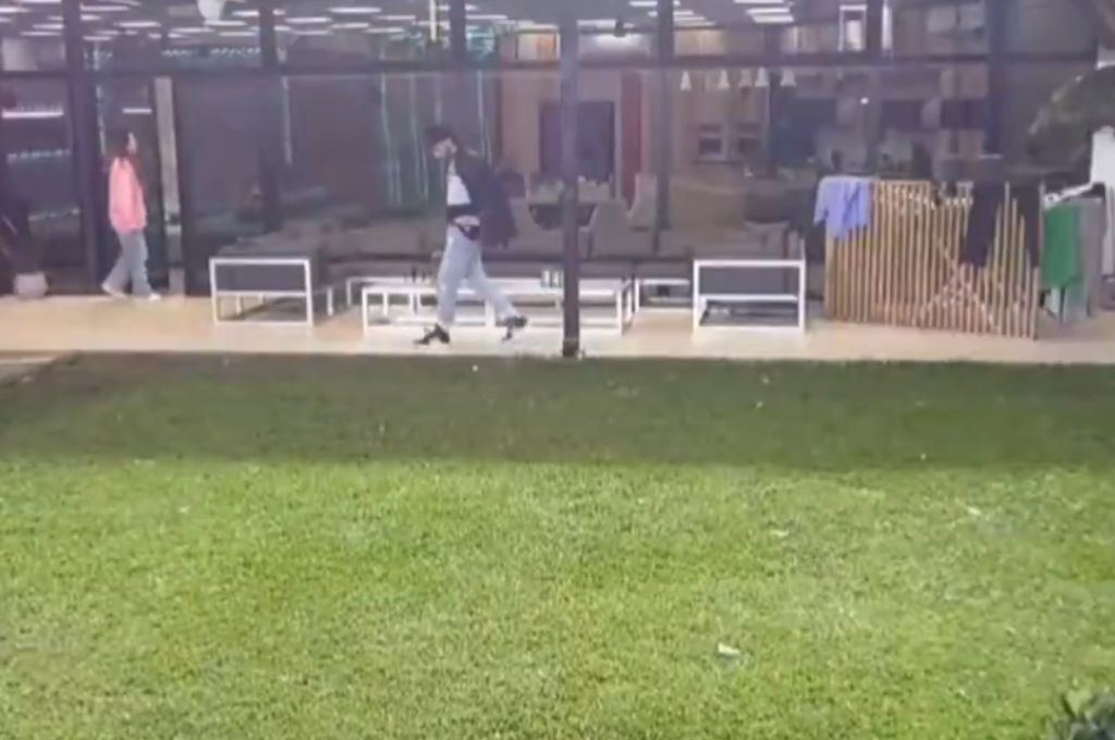 Gritos en la casa de Gran Hermano