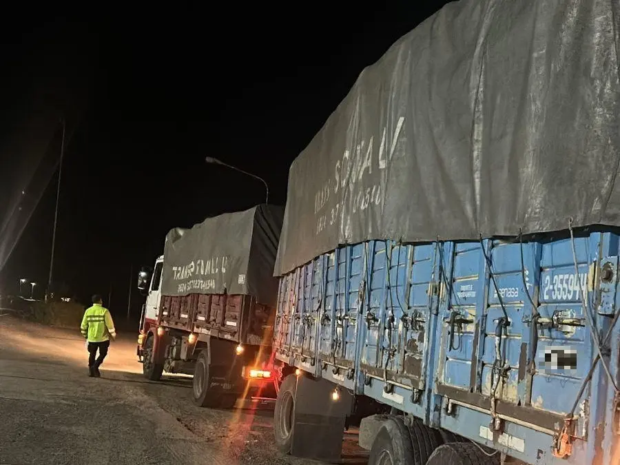 Secuestraron cargamentos de carbón vegetal en rutas santafesinas por infracciones forestales