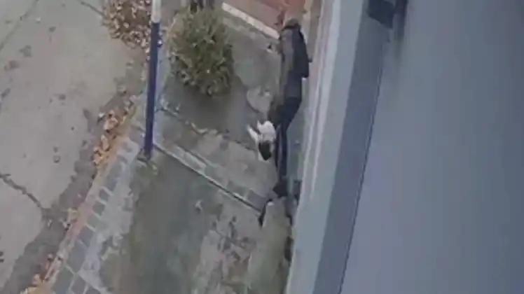 Inseguridad Mar del Plata