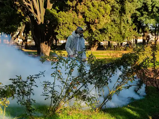 El municipio continúa con los operativos de fumigación en plazas y espacios verdes