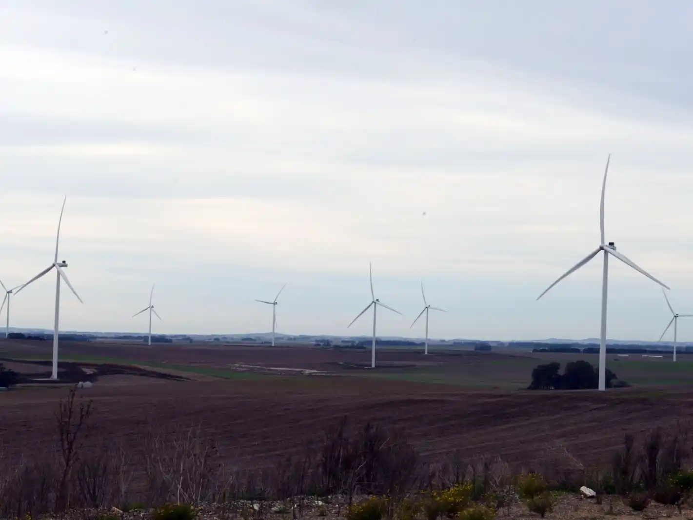 genneia inauguracion la elbita 30-05-25 - 1