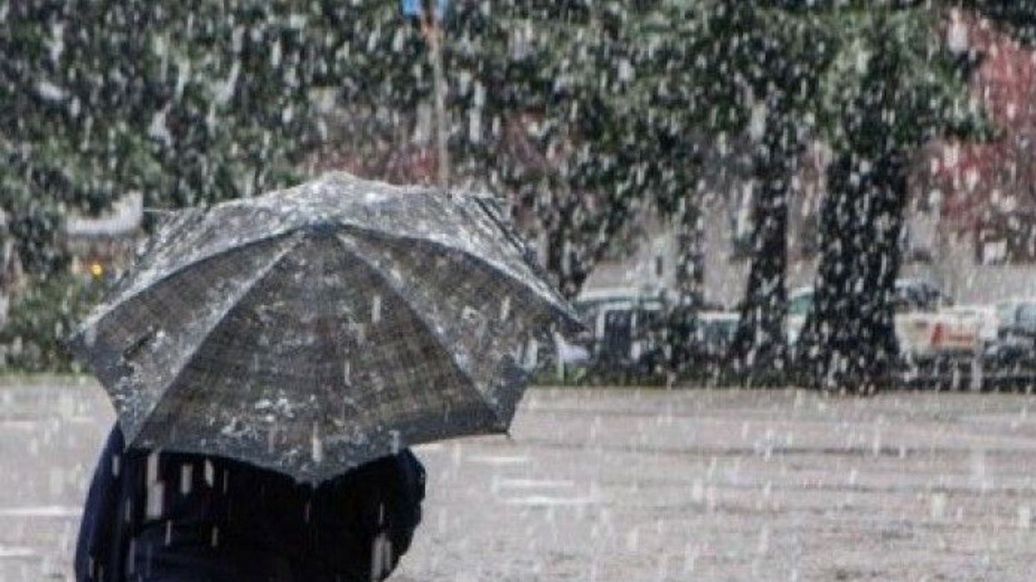 Alerta por lluvias y tormentas en Santa Fe y Entre Ríos