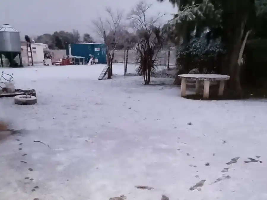 nieve - 1