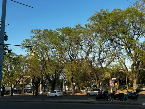 Mañana fresca y tarde calurosa en Rafaela: cómo seguirá el tiempo hasta el viernes