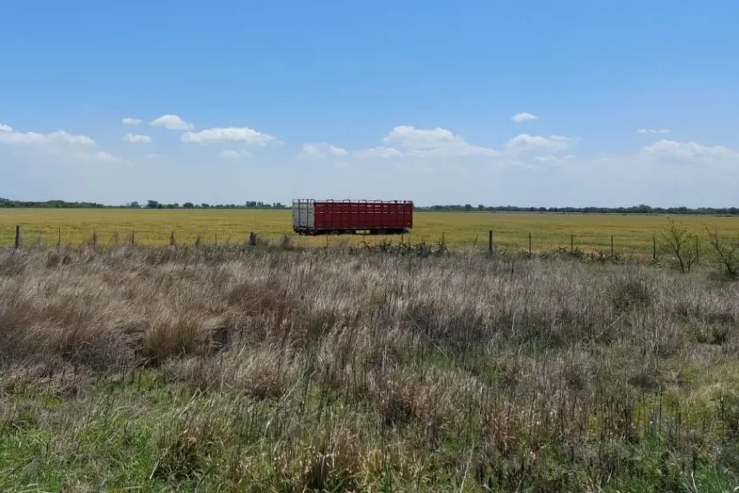 RN11: a un camión se le desenganchó el acoplado y terminó en medio del campo