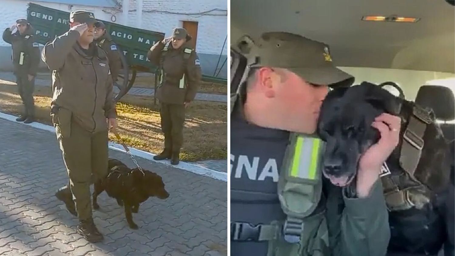 Días atrás, se viralizó un video donde un guía canino de Gendarmería anunciaba que su compañera Pequi realizaba su última patrulla.