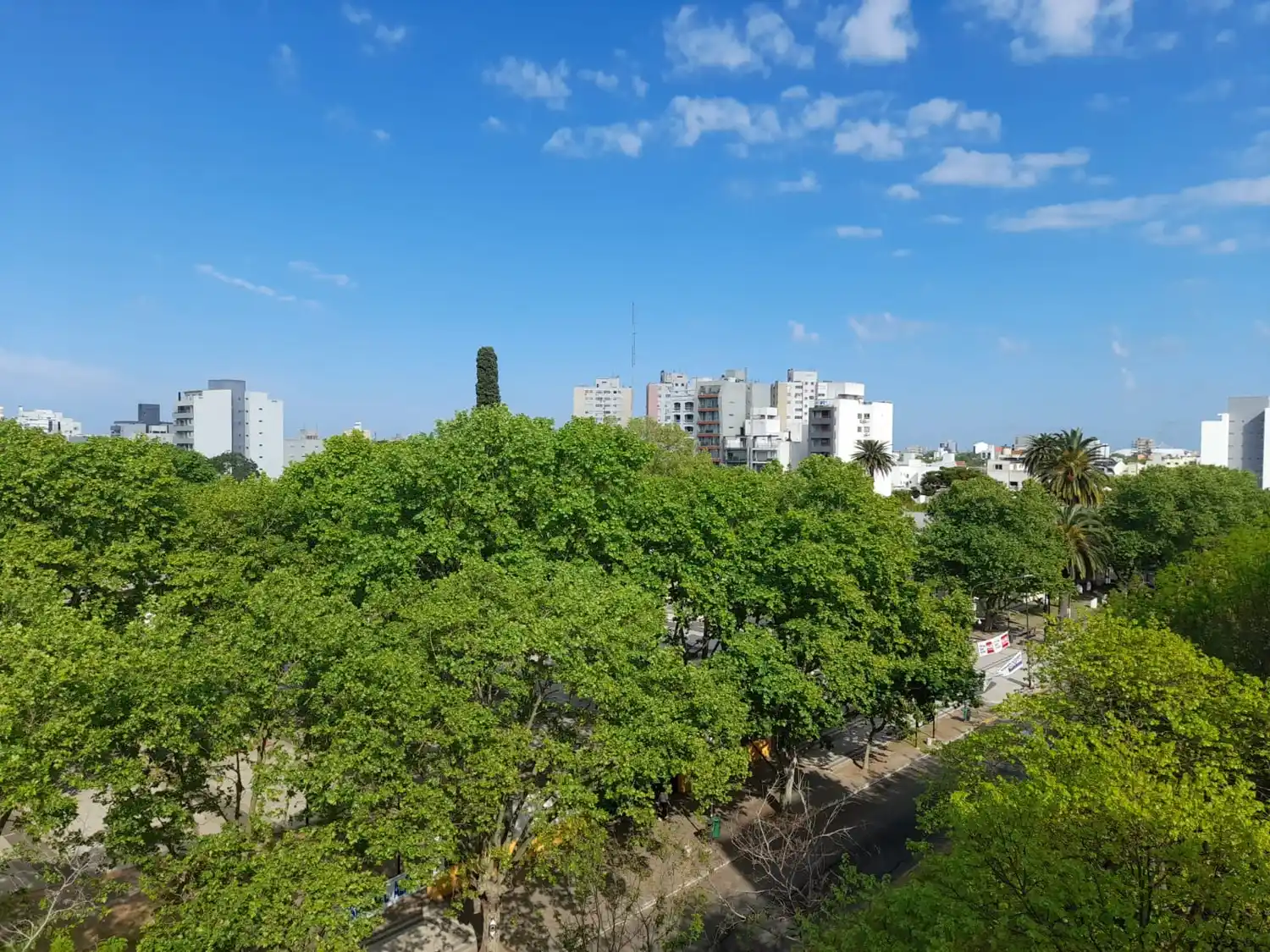 Buen clima en el fin de semana largo.