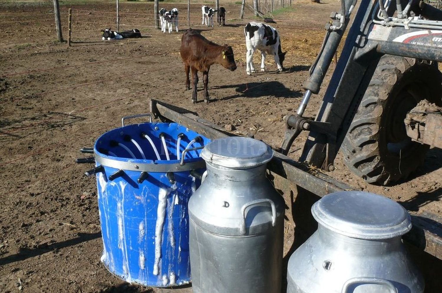 Cambio Rural: por una lechería atractiva