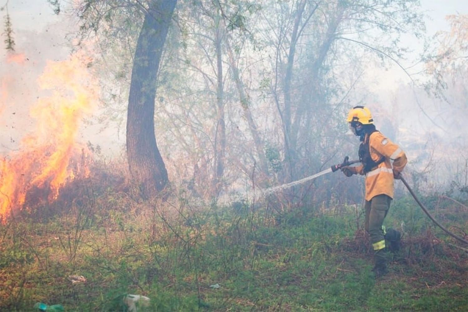 incendio en el delta