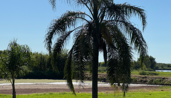 Playa Mansa: falta poco para terminar de desagotar el piletón y comenzaron tareas de mantenimiento