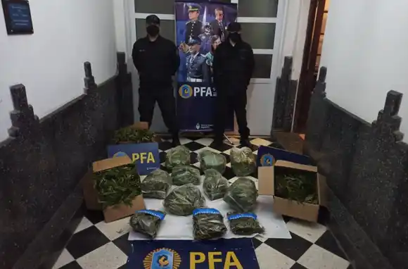 La policía Federal secuestró más de 20 kilos de marihuana en Tandil