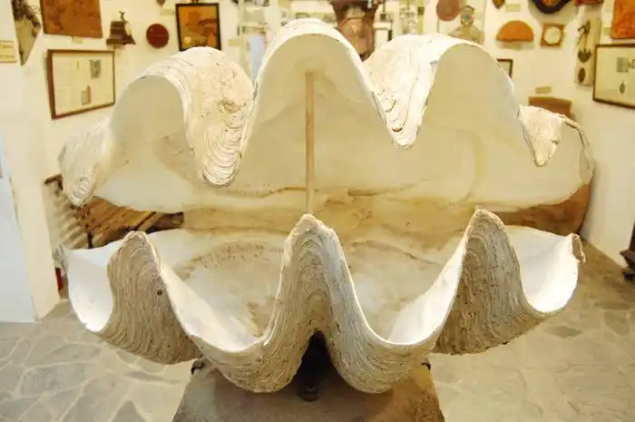 Tres museos imperdibles de Córdoba