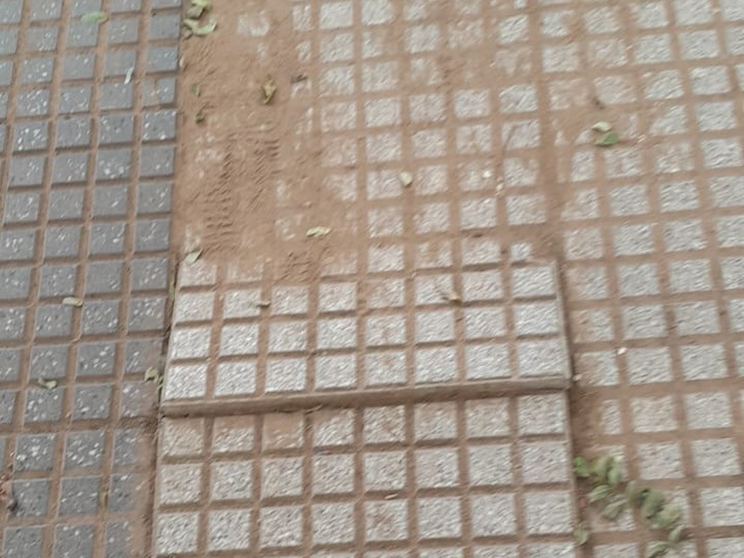 reporte de plaza constitución