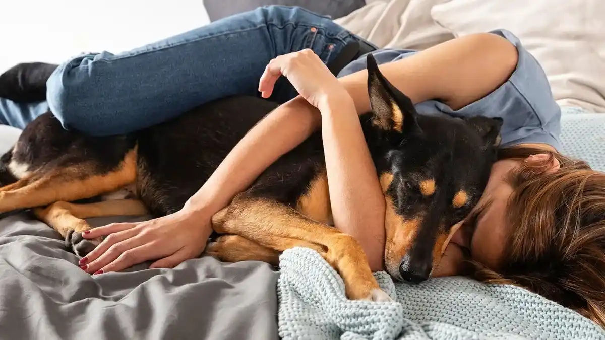 por qué mi perro me sigue a todas partes - 2