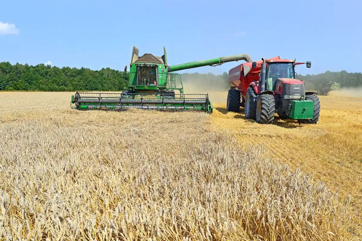 Impulso clave para el sector productivo