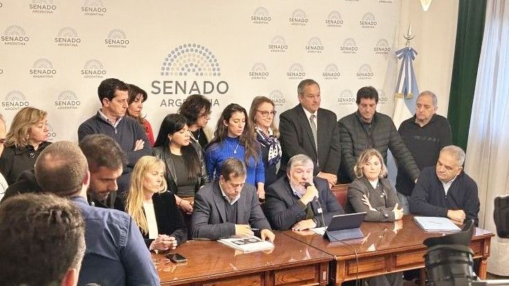 Senadores de UP insisten con leyes vetadas por Mile
y repudian represión a personas con discapacidad