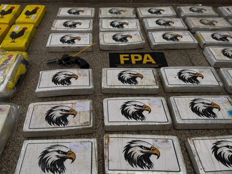 Megaoperativo: incautaron 48 panes de cocaína valuados en 1.800 millones de pesos y hay cinco detenidos