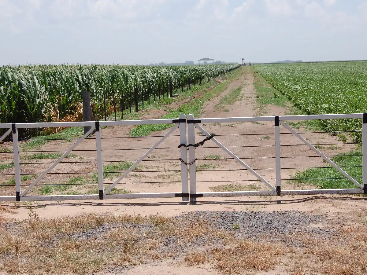 La actividad inmobiliaria rural subió en enero 7% mensual pero bajó 6% interanual