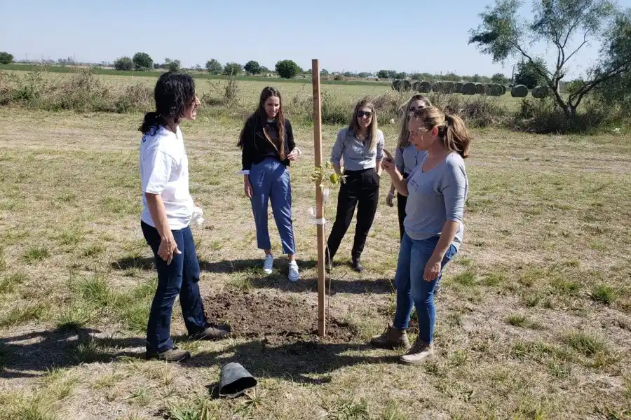 Compromiso empresarial con el arbolado